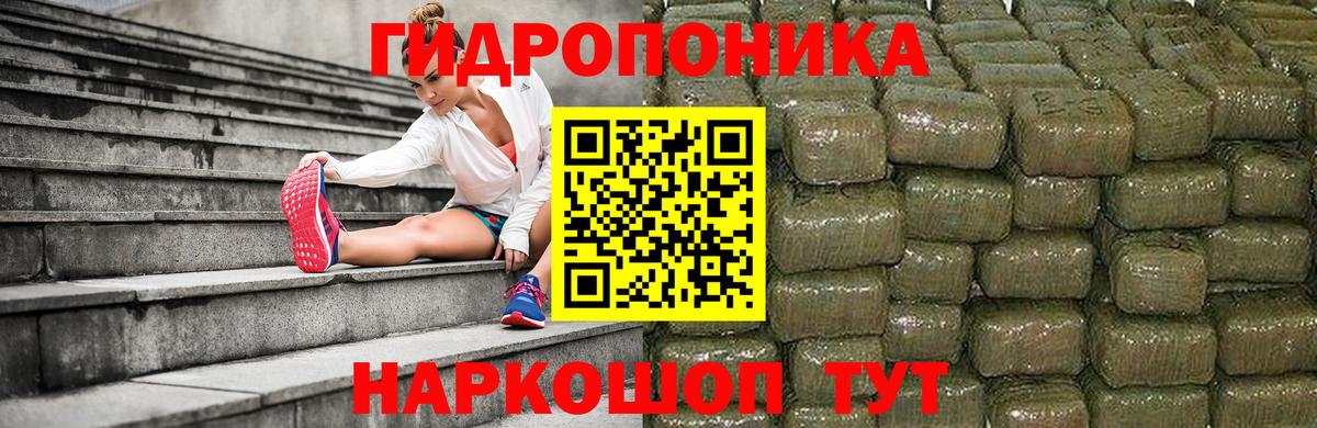Канабис Amnesia Балтийск